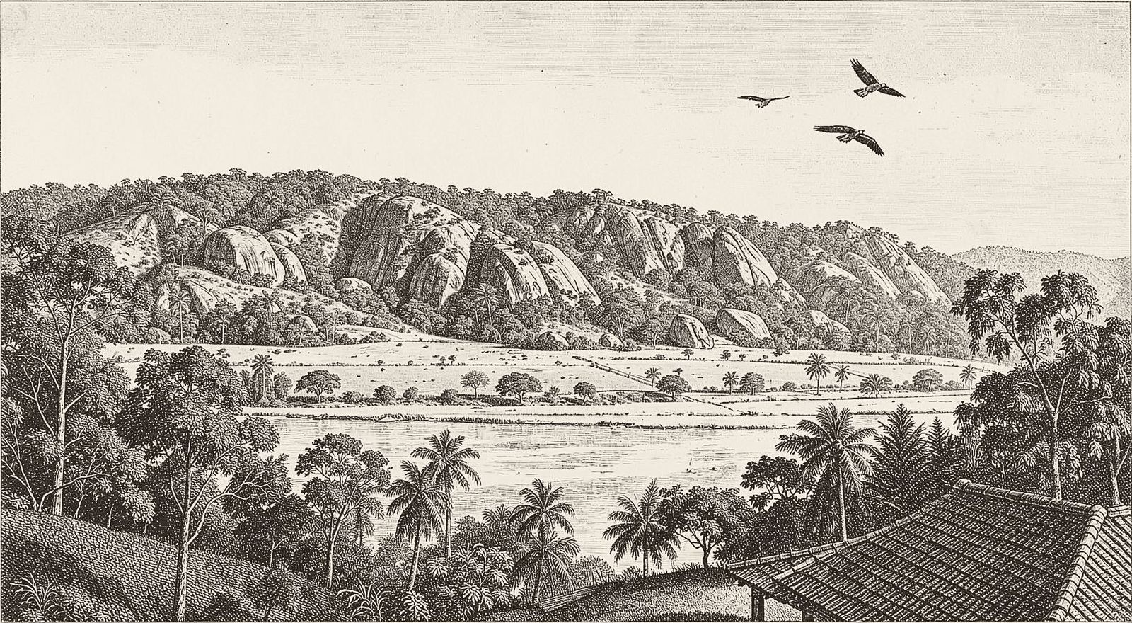 Engraving of the Daltonganj hills from the estate