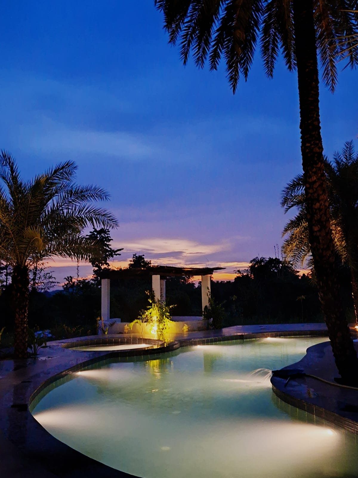 The pool at dusk under palms