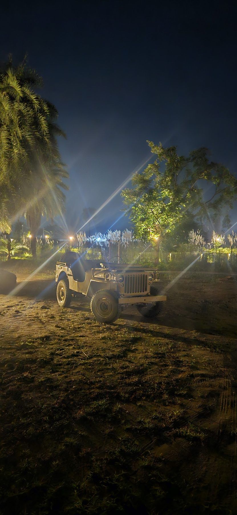 The lawn under a dark sky with a garden lamp
