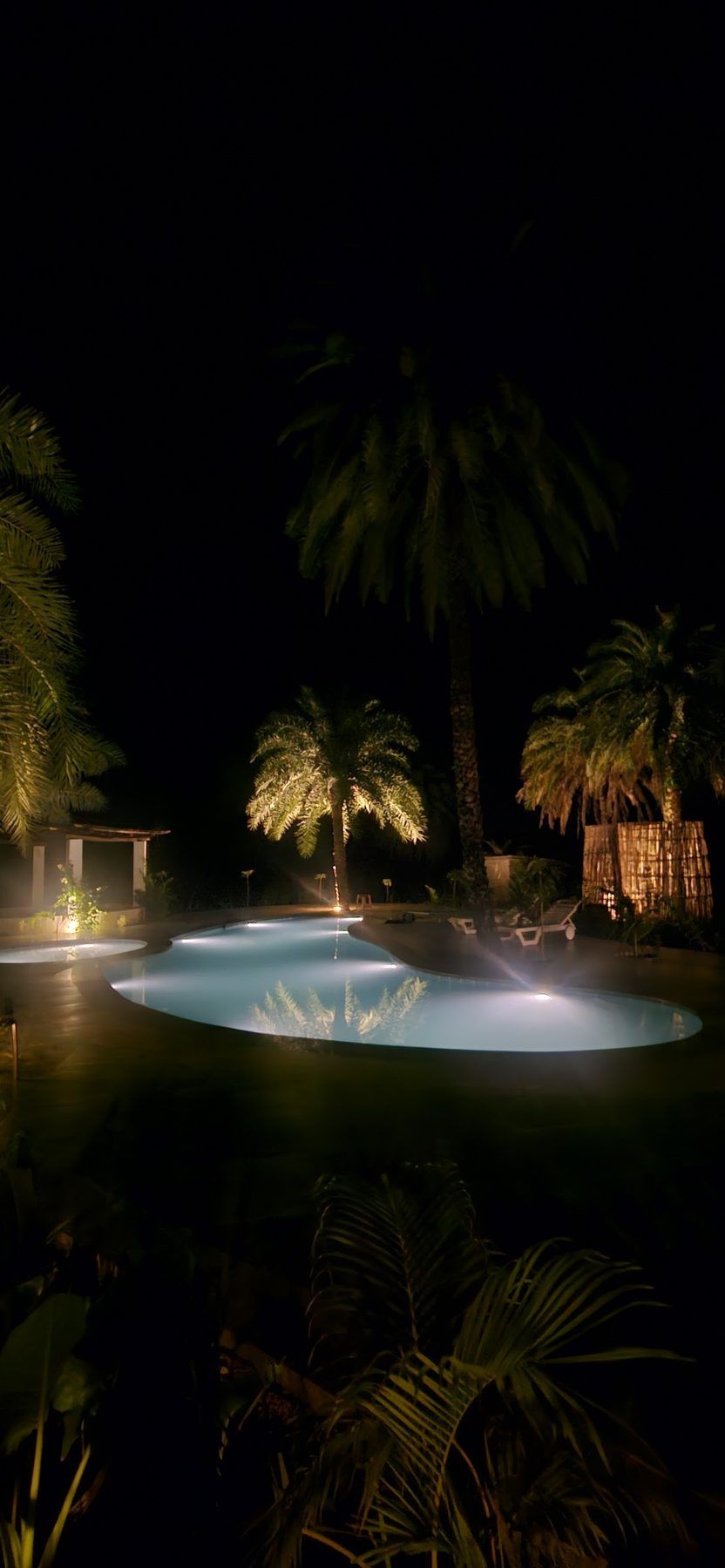 The pool glowing blue among palms at night