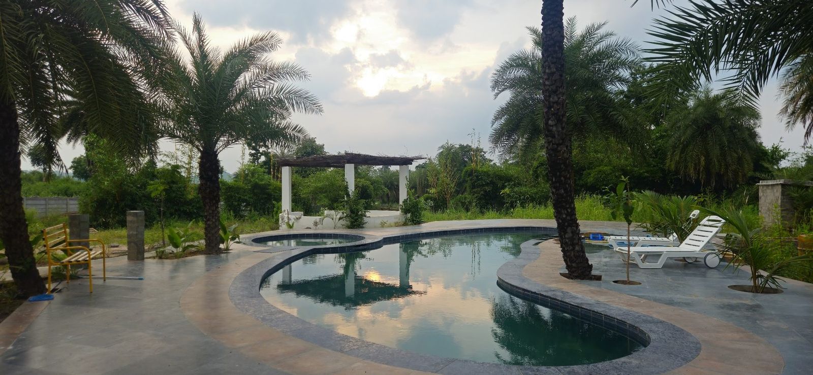 The lagoon-like pool among date palms with a white pergola, afternoon