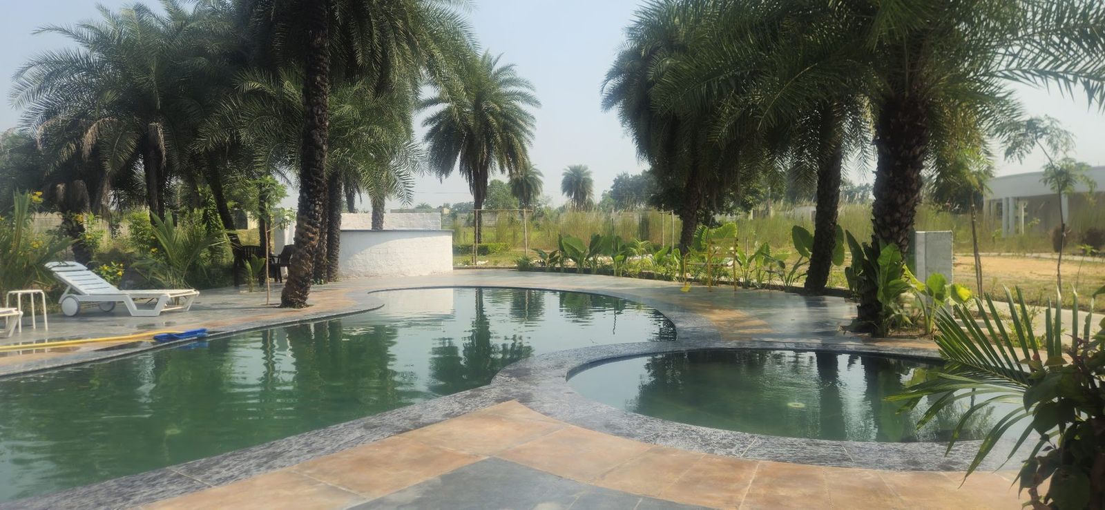 The pool by day among date palms
