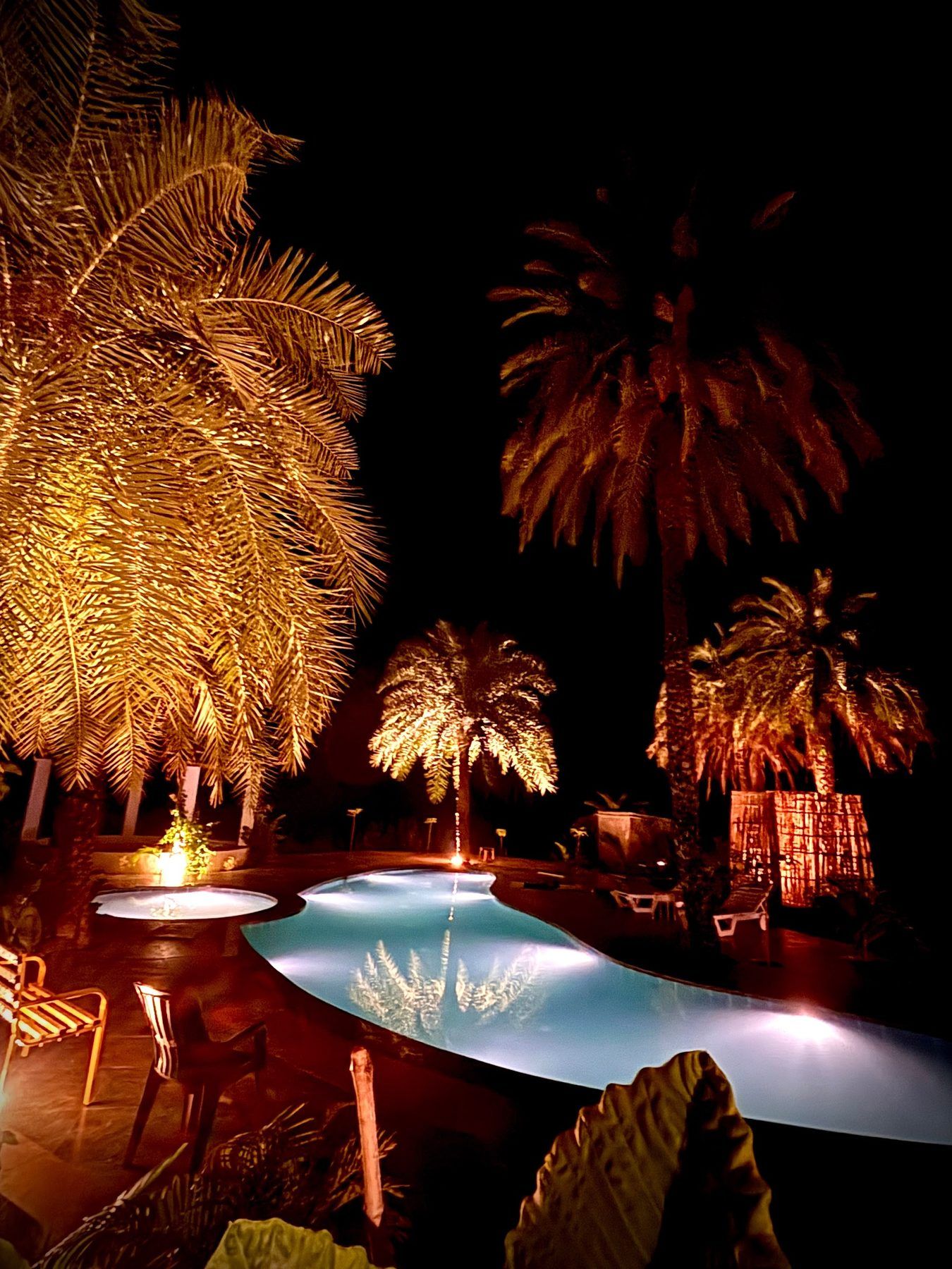 The pool at night under lit palms