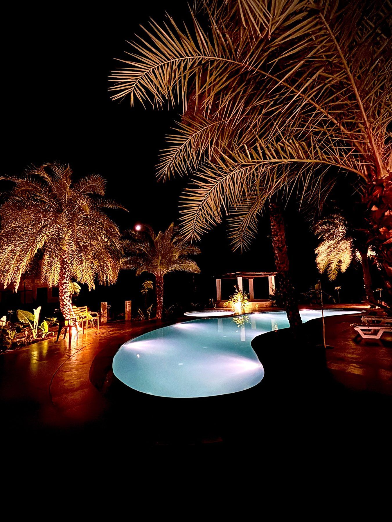 Curving pool lit at night under palms