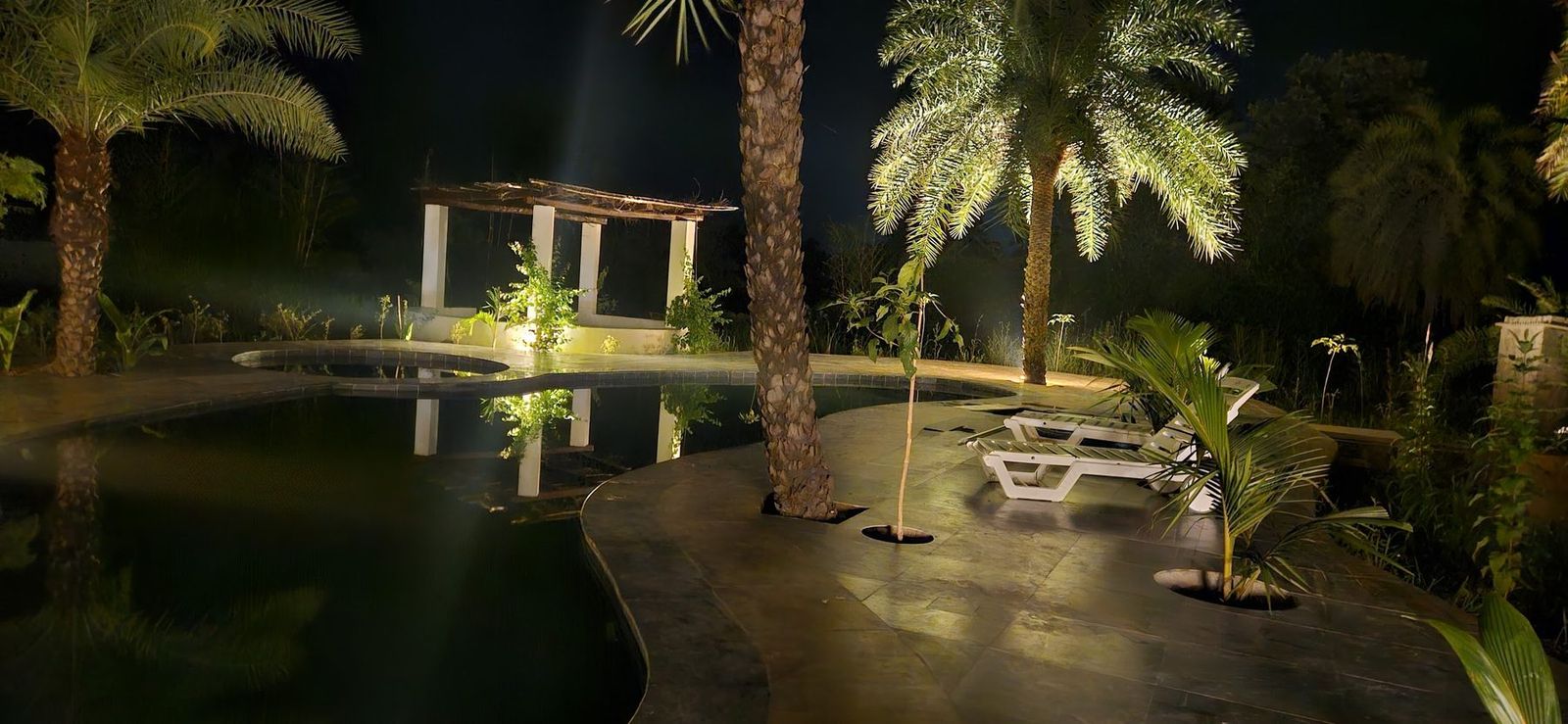 The pool, pergola and lit palms after dark