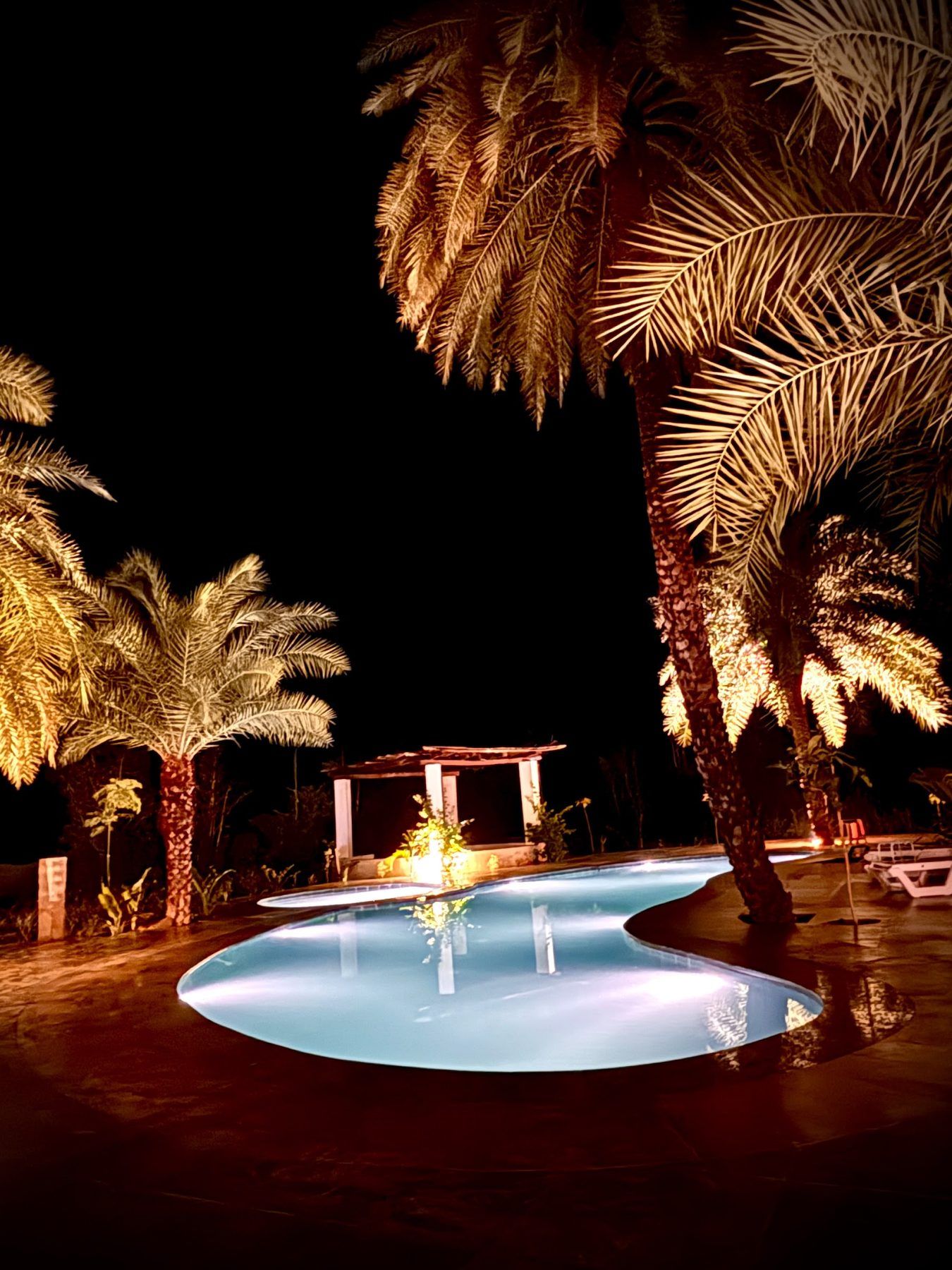 Pool at night under lit date palms