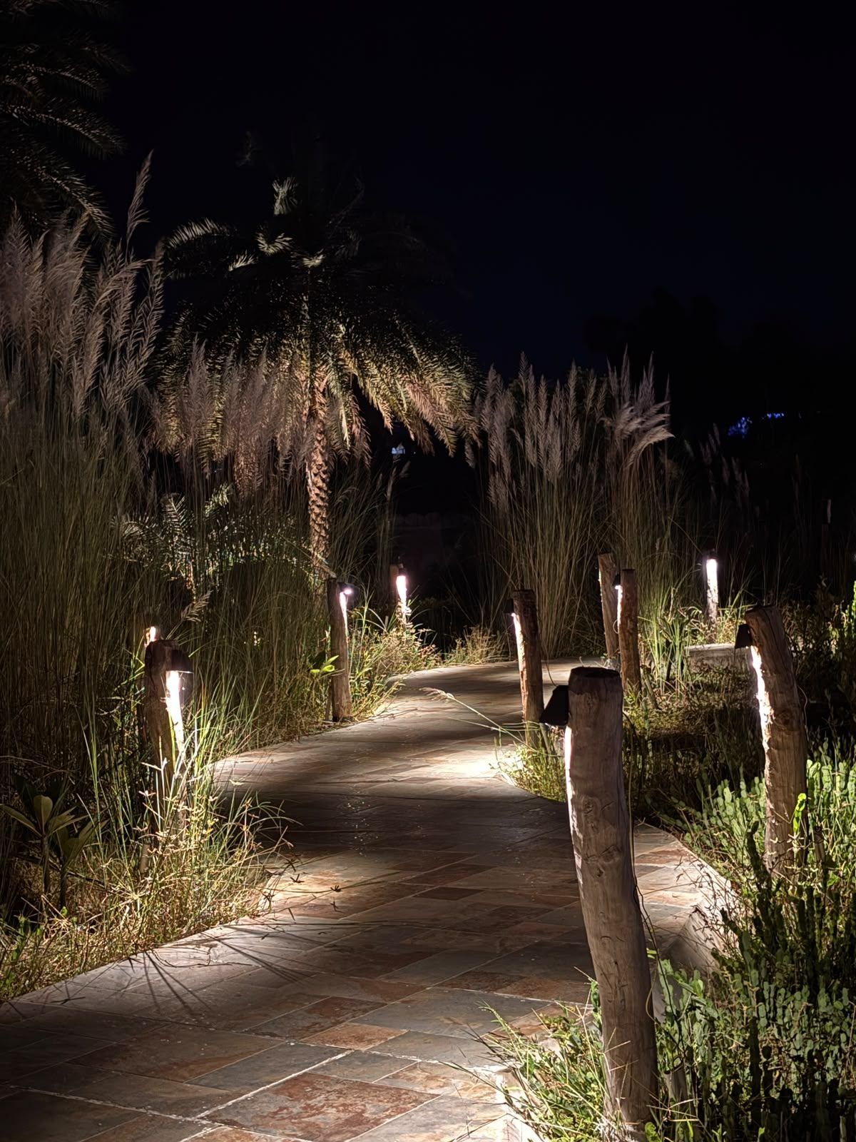 Garden lamps along a path through grass at night